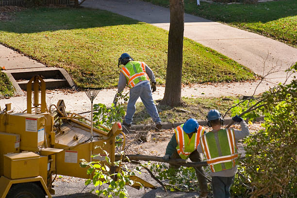 Best Seasonal Cleanup (Spring/Fall)  in Mapleton, MN